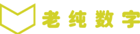 老纯数字录入