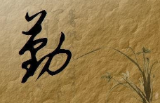 应聘打字员有哪些要求？.png