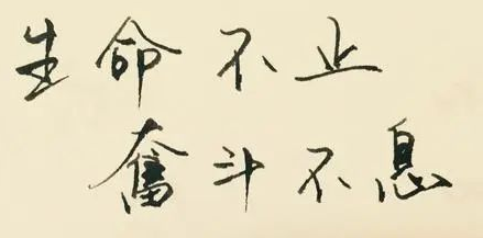 你不知道的手机打字兼职赚钱软件