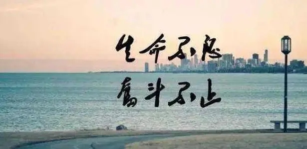 手机打字赚钱真的存在吗？.png