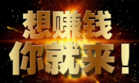 网上打字赚钱的项目适合新手做吗？好做吗？