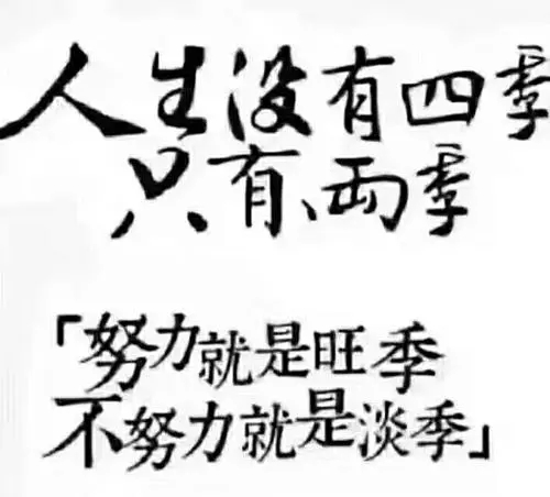 网上打字赚钱是努力就可以赚钱的吗？.png