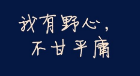 打字赚钱进阶攻略：从“打码”到“高单价录入”的蜕变.png